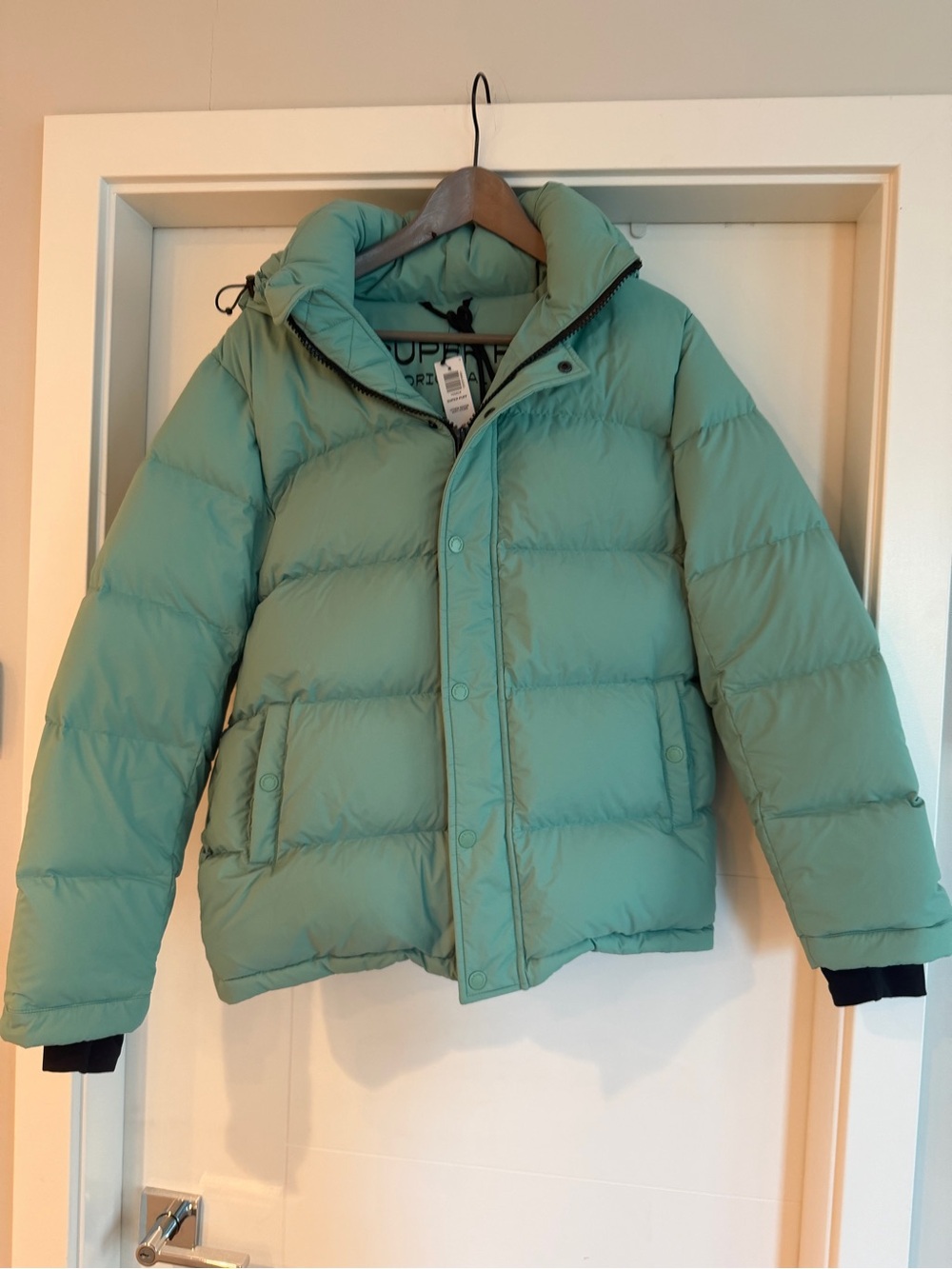 Aritzia Superpuff - Hydra Green - S